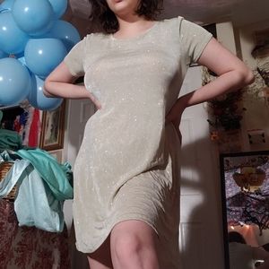 Vintage Sparkly Dress